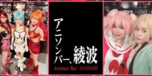 綾波~あやなみ~錦